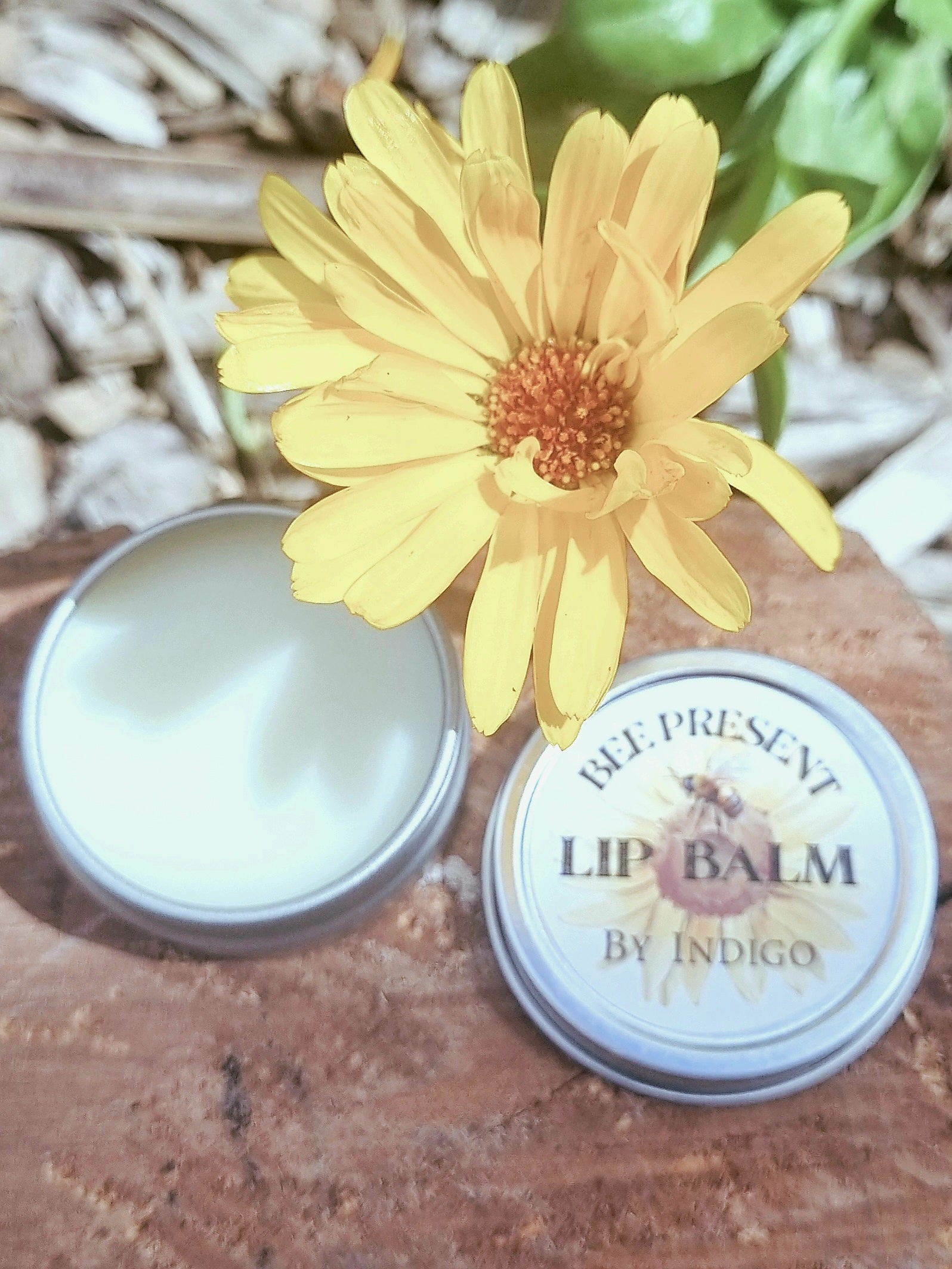 Bee Present Lip Balm 10g